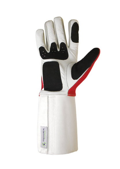 Advanced Glove