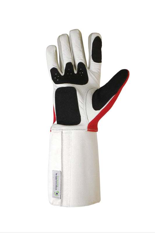 Advanced Glove